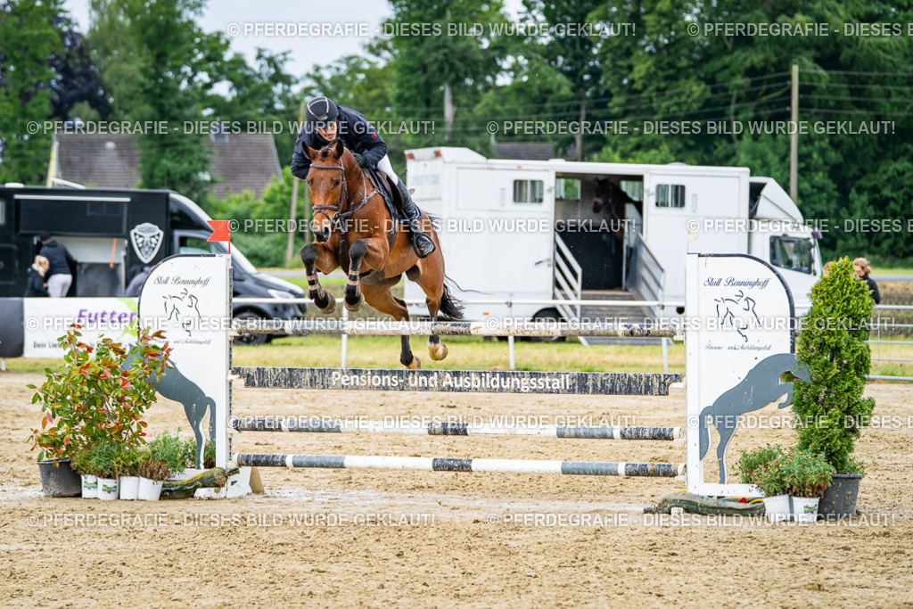 DSC04214 | Pferdegrafie