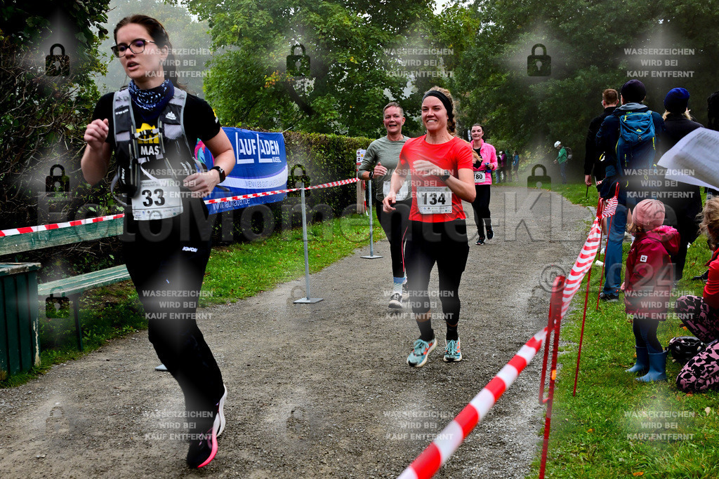 Z8N_2035 | la-psv - Realisiert mit Pictrs.com