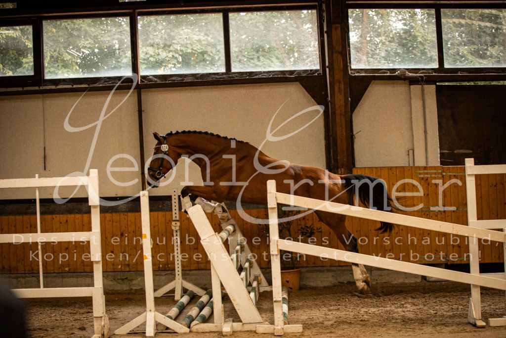 2FS_L00116 | Leoni Ertmer Photography - Realisiert mit Pictrs.com