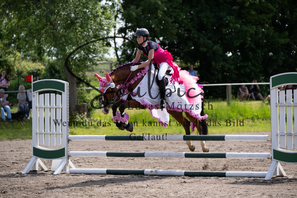 A7V04605 | Pferdefotograf