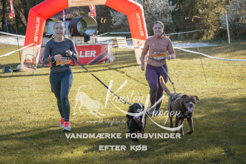1214_ZZ95112 | kk-dogfotos