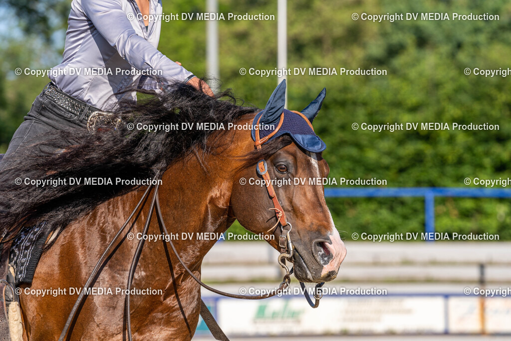 Zeiskam Tag 2-067 | dv-media-shop - Realisiert mit Pictrs.com