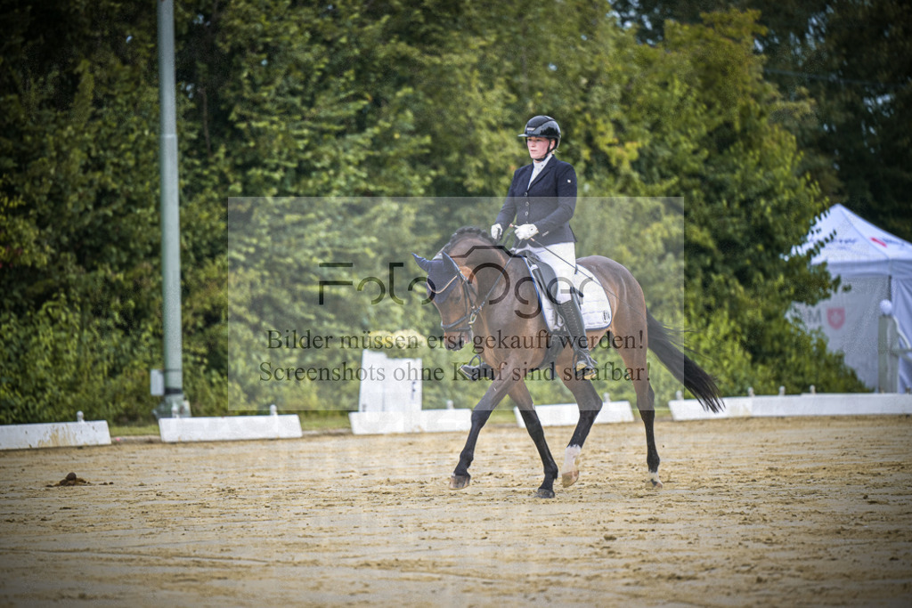 DOS_0907 | Entdecke hochwertige Reitturnierfotos von Foto Oger. Professionell, emotional und authentisch – jetzt Lieblingsmomente im Shop bestellen.Deutschlandweite Turnierfotografie. - Realisiert mit Pictrs.com