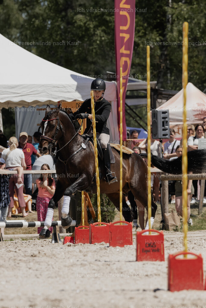 WE_SP_Stoib_330_PI2025_1982 | Pferd International München 2025