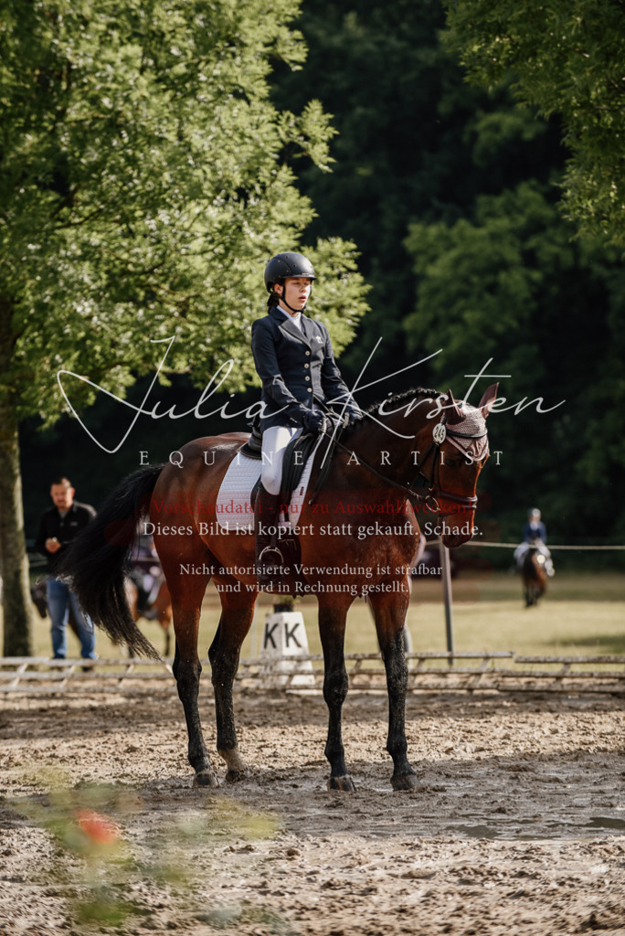 DSC_8684 | Pferde- und Turnierfotografie in Westsachsen. Pferdeportraits, Auftragszeichnungen und intuitive Kunst.