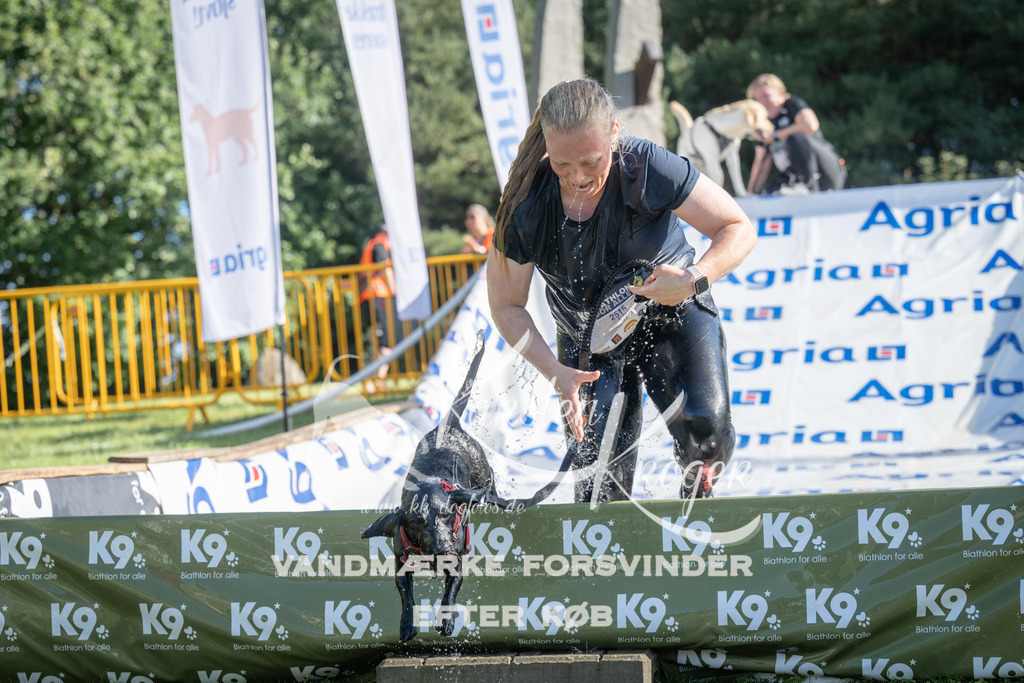 0949_ZZ97111 | kk-dogfotos