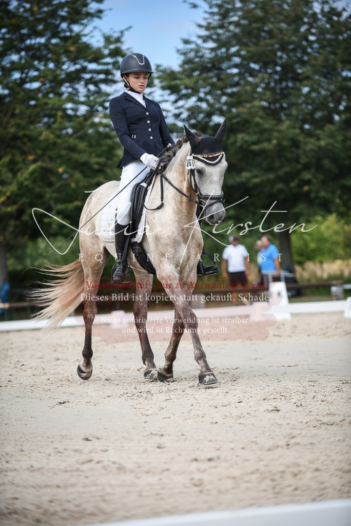 DSC_8665 | Pferde- und Turnierfotografie in Westsachsen. Pferdeportraits, Auftragszeichnungen und intuitive Kunst.