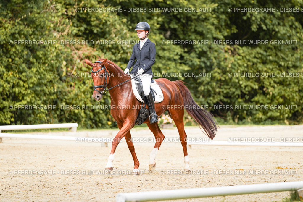 DSC03592 | Pferdegrafie