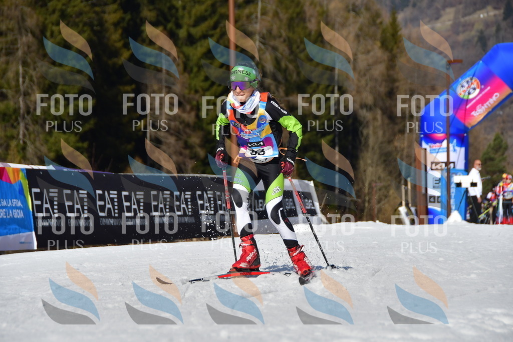 _DSC9515 | holidayphoto