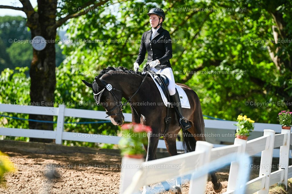 20230715_06_Dressurpferdeprfg. Kl.A_0367 | equistock
