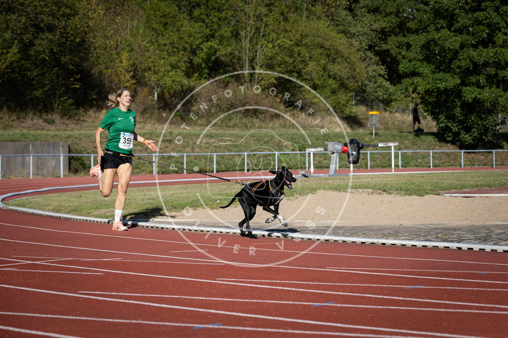 Pfotenfotografie_DV3A9128 | Hundefotografie, Tierfotograf, Pfotenfotografie, Fotoshooting Hund, Hunde Portrait, Hundesport, Hundeportraits, Heideshooting, Hunde, Sportfotograf, Hundefotograf, Turnierhundsport, THS,  - Realisiert mit Pictrs.com