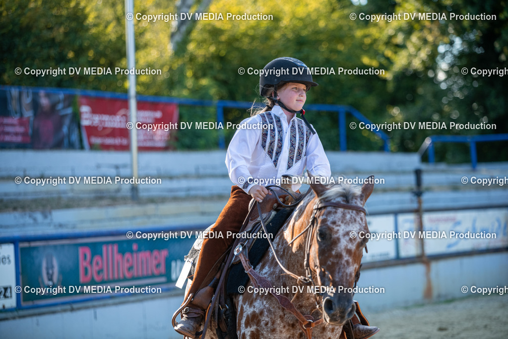 EWP_7239 | dv-media-shop - Realisiert mit Pictrs.com