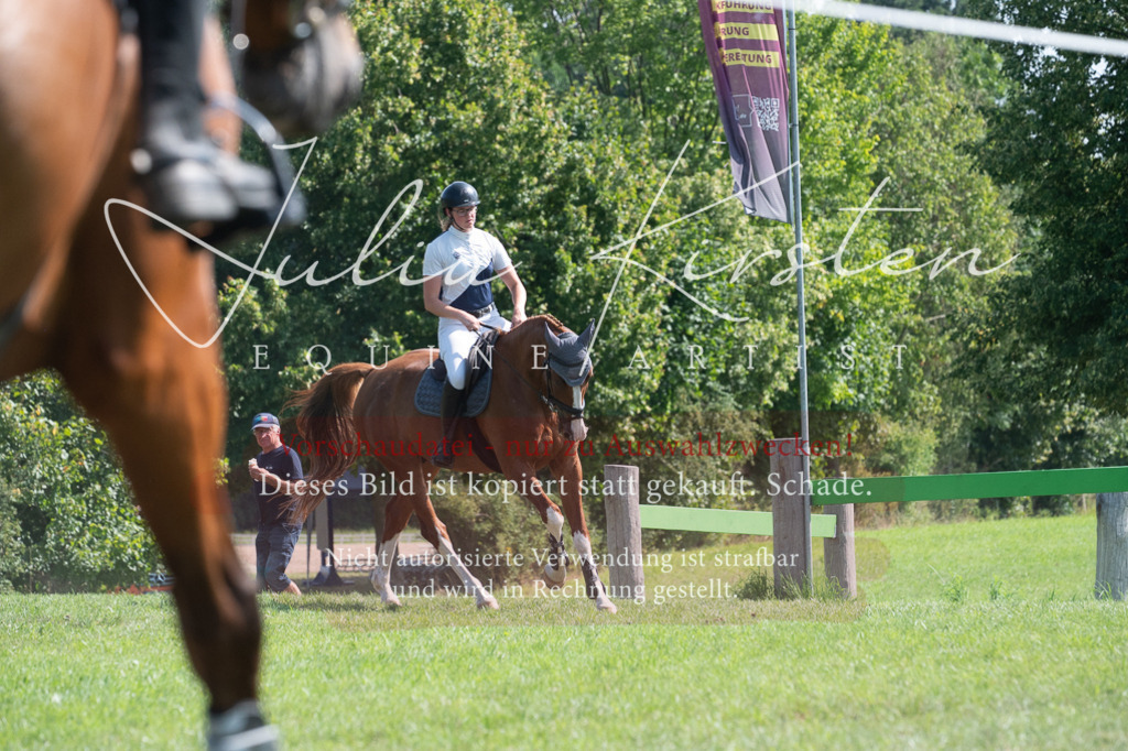 DSC_0787 | Pferde- und Turnierfotografie in Westsachsen. Pferdeportraits, Auftragszeichnungen und intuitive Kunst.