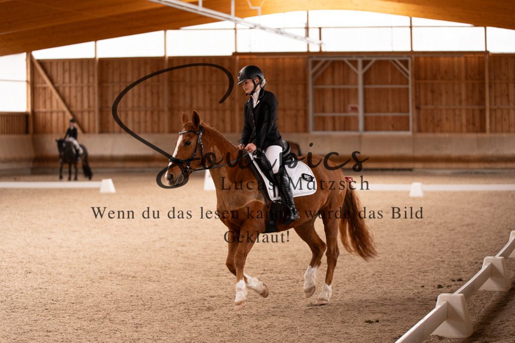 A7506934 | Turnier/Reitfotograf