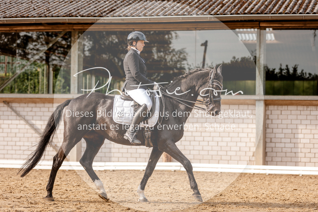 3I6A2918 | Stimmungsvolle Portraits und Reitsportfotografie im Ruhrgebiet und im Münsterland.

Pferdefotografie, Hundefotografie, Tierfotografie, Reportagen, Portraits von Tier und Mensch, Turnierfotografie in Bochum, Recklinghausen, Marl, Haltern am See, Dülmen.. - Realisiert mit Pictrs.com
