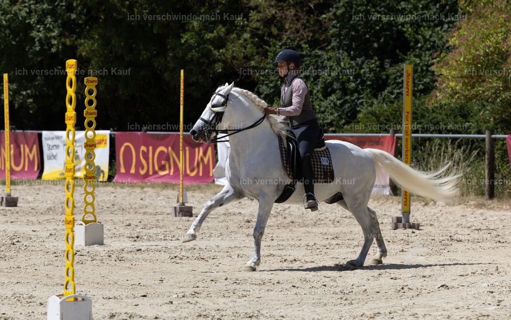 WM_Speed_28_KerstinBernhardt | working equitationturnier fotograf videograf stoibphotography marixx film working equitation deutschland reitsport turnierfotografie eventfotografie equestrian events