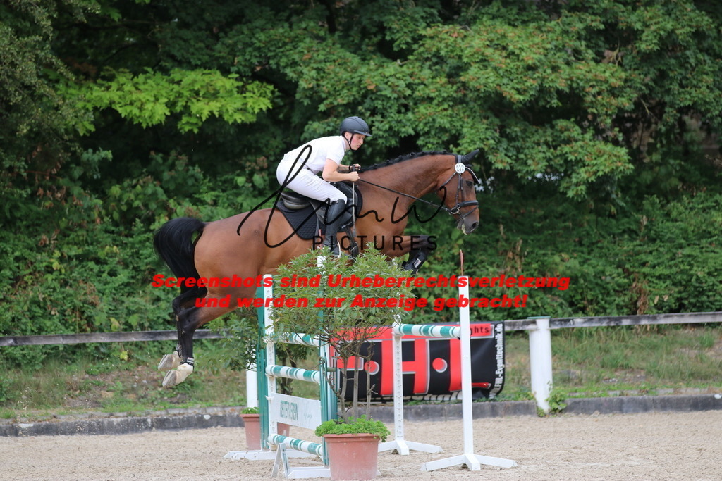 IMG_2298 | lmwpictures - Realisiert mit Pictrs.com