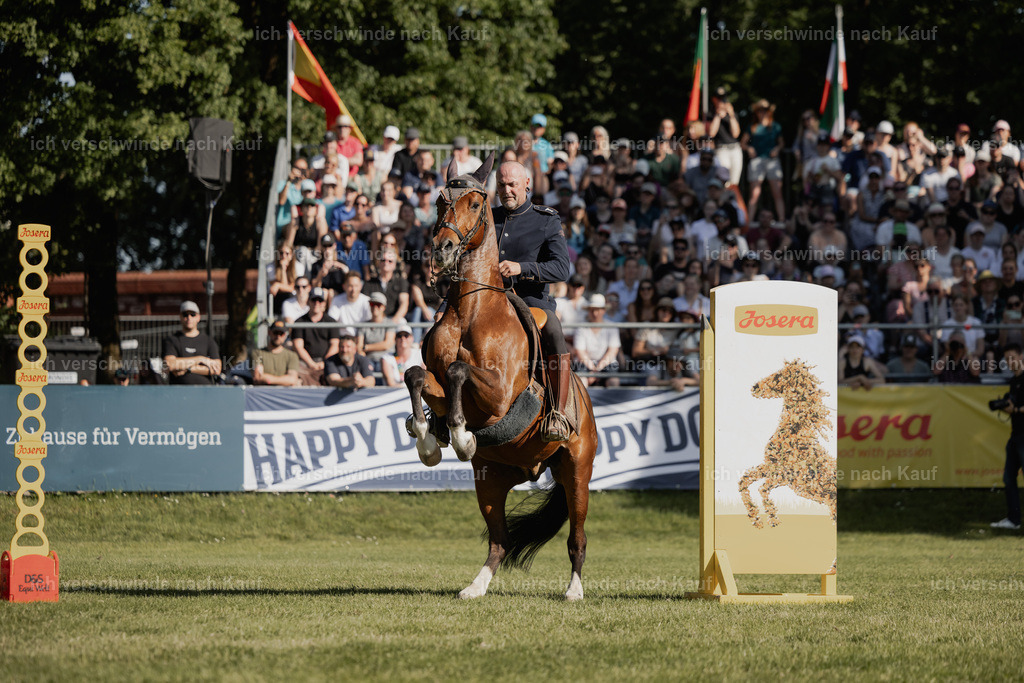 WE_MOS_Stoib_327_PI2025_2429 | Pferd International München 2025