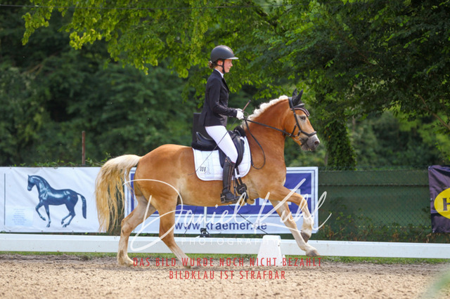 DKP42468 | Turniersportfotografie; Pferdefotografie; Dressurfotografie