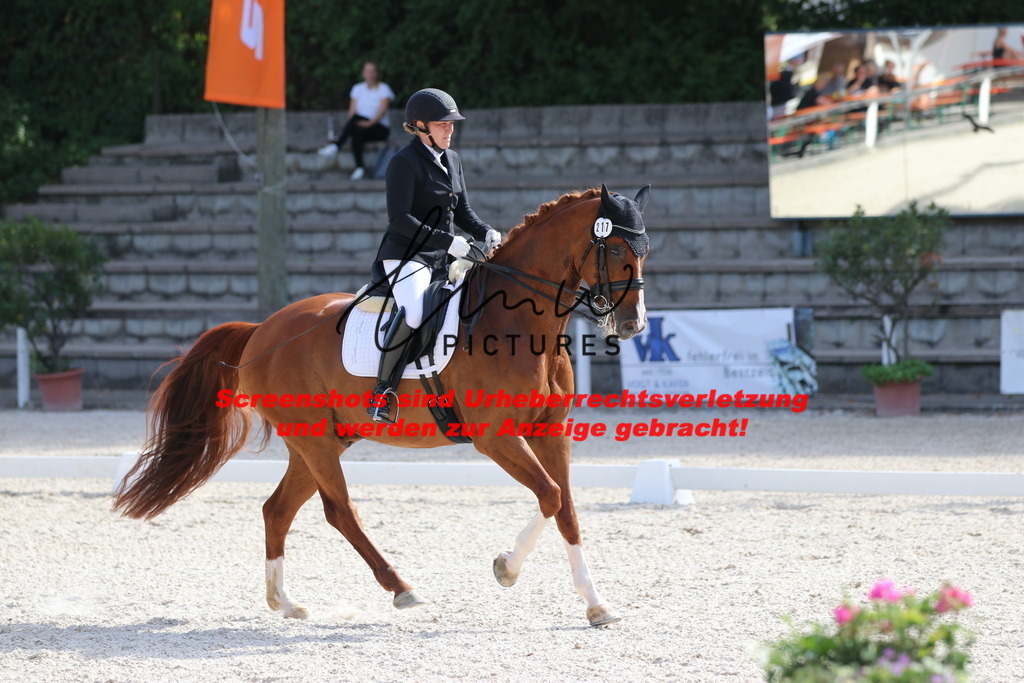 IMG_5621 | lmwpictures - Realisiert mit Pictrs.com