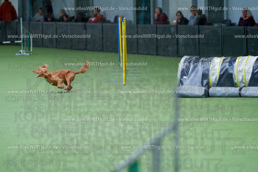 @allesWIRTHgut_Tierfotografie - www.allesWIRTHgut.de - 2604251117-7R500163 | Professionelle Tierfotografie in Mönchengladbach von Daniel Wirth (allesWIRTHgut). Liebevolle & natürliche Bilder von Hunden & Katzen für unvergessliche Erinnerungen.