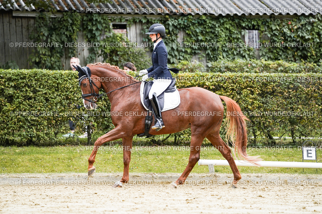 DSC07019 | Pferdegrafie