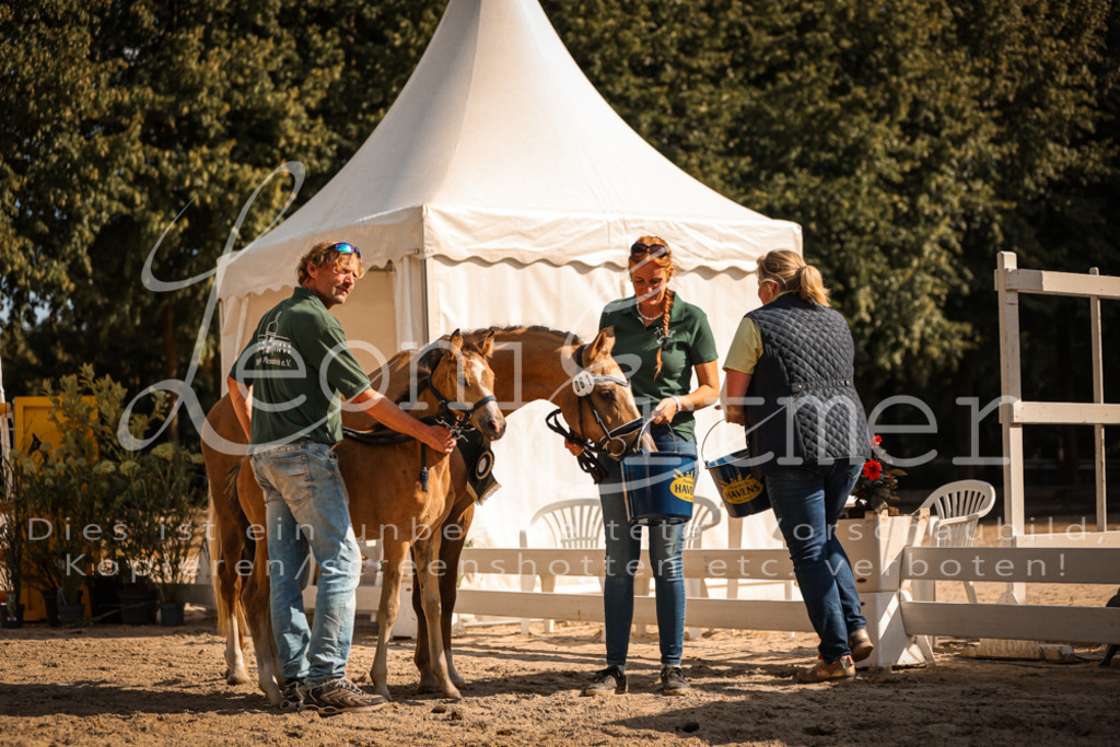 10.DoRP00228 | Leoni Ertmer Photography - Realisiert mit Pictrs.com