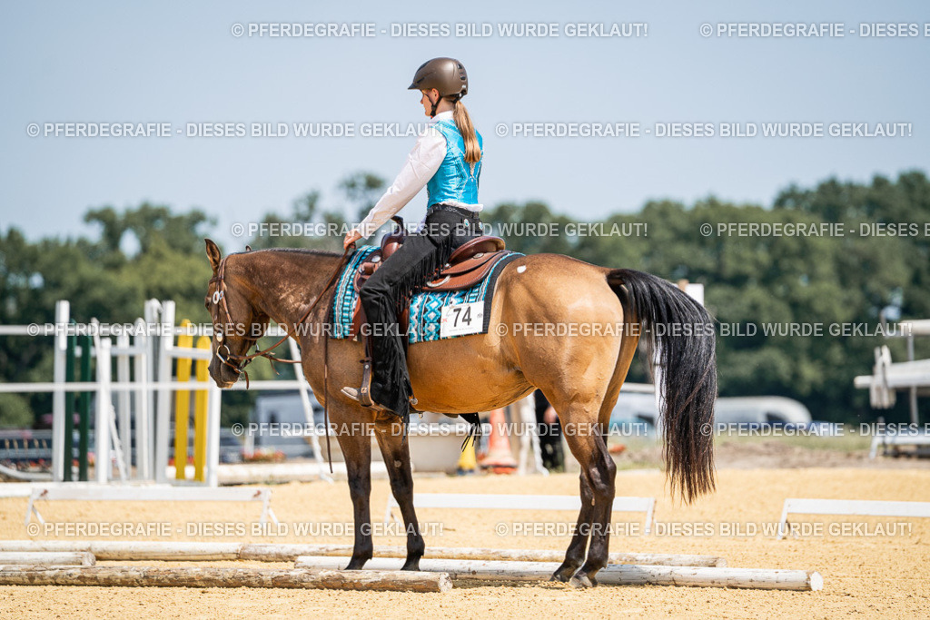 DSC00986 | Pferdegrafie