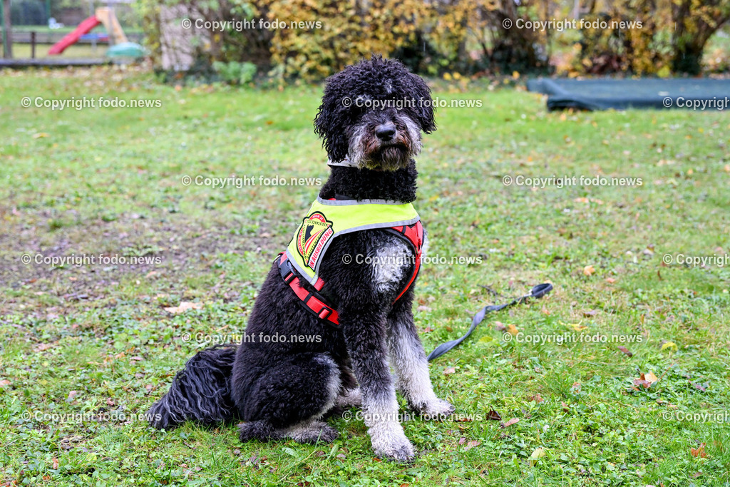 Linz_ Susanne Preier mit Hund Gustav_ 28.11.2023-2 | 28.11.2023, Linz, AUT, Susanne Preier, im Bild Gustav, Assistenzhund in Ausbildung (Koenigspudel)
