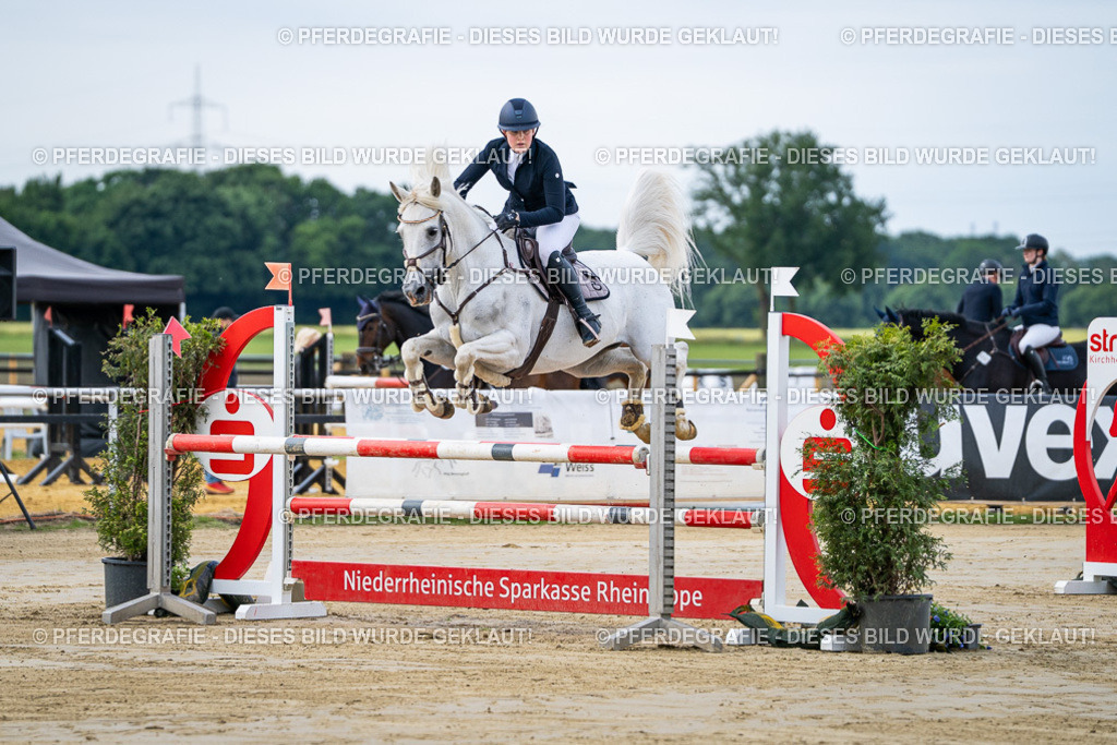 DSC03334 | Pferdegrafie