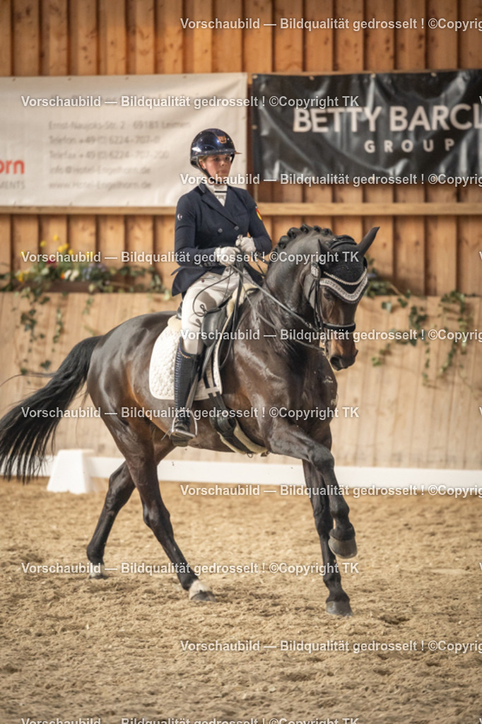 _D5A6562 | Emotionale Pferde- & People-Fotografie rund um Heidelberg, Leimen & Umgebung. Natürliche Fotos von Pferd, Mensch & Familie. Jetzt Termin sichern!