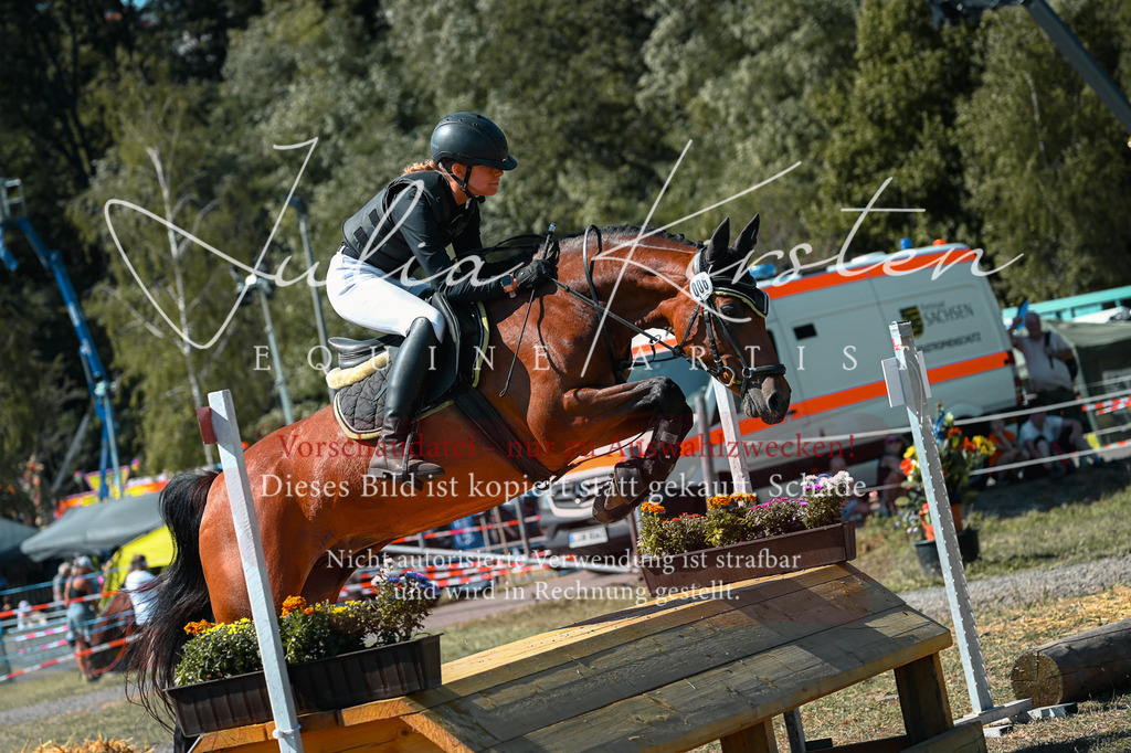DSC_8160 | Pferde- und Turnierfotografie in Westsachsen. Pferdeportraits, Auftragszeichnungen und intuitive Kunst.