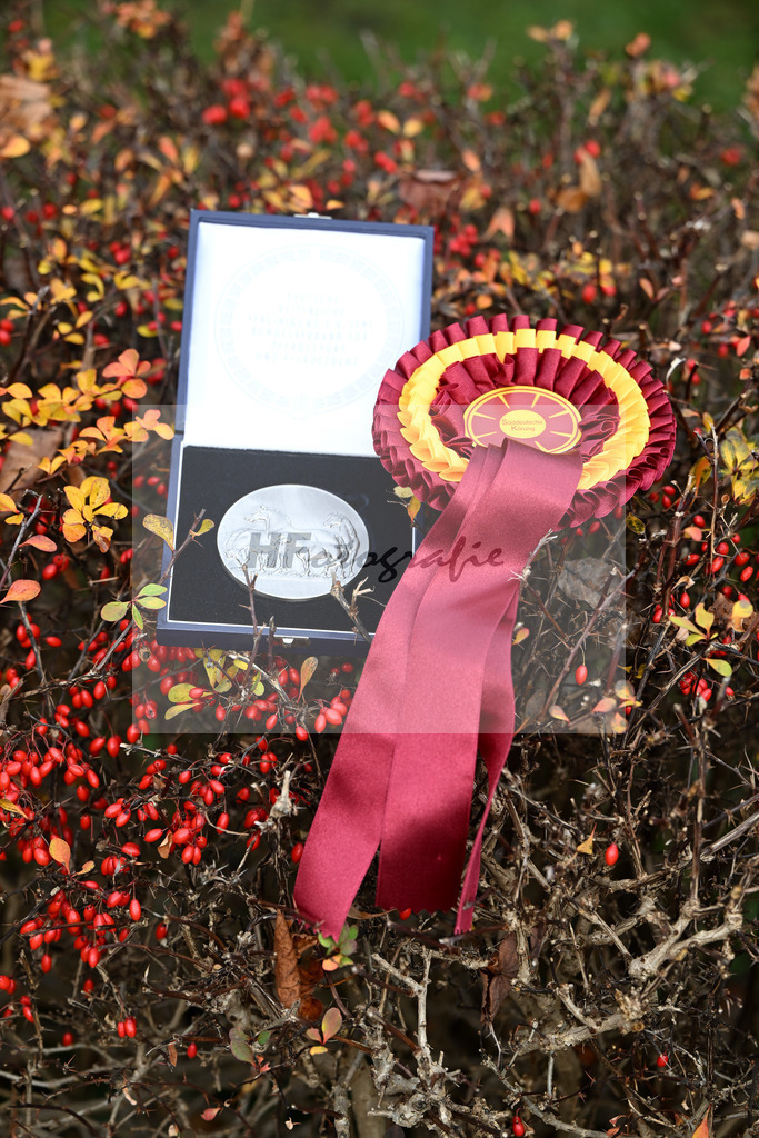 Impressionen Koerung_48250941 | hf-fotografie - Realisiert mit Pictrs.com