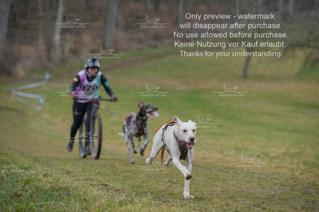 Sa_Scooter1-22 | stephaniefillaphotographie - Realisiert mit Pictrs.com