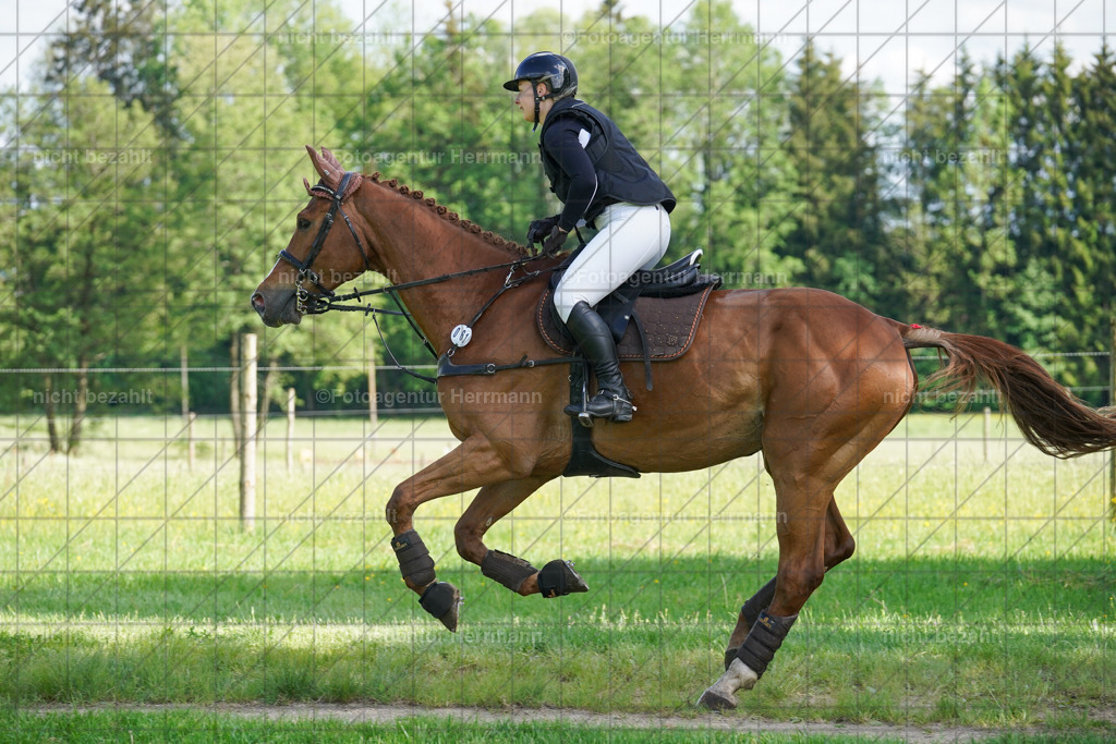 20240518-FAH04143 | Turnierbilder von Niederseon, Turnierfotografen Bayern, Fotoagentur Herrmann, Geländebilder, Reitsportfotografie