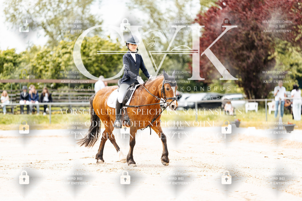 CK902653 | Turnierfotografie Pferdefotografie Trier Rheinland-Pfalz Pferdesport Reitsport Tierfotografie Sportfotografie Pferdevideo Pferdevideografie Equestrianvideography equestrianphotography  - Realisiert mit Pictrs.com