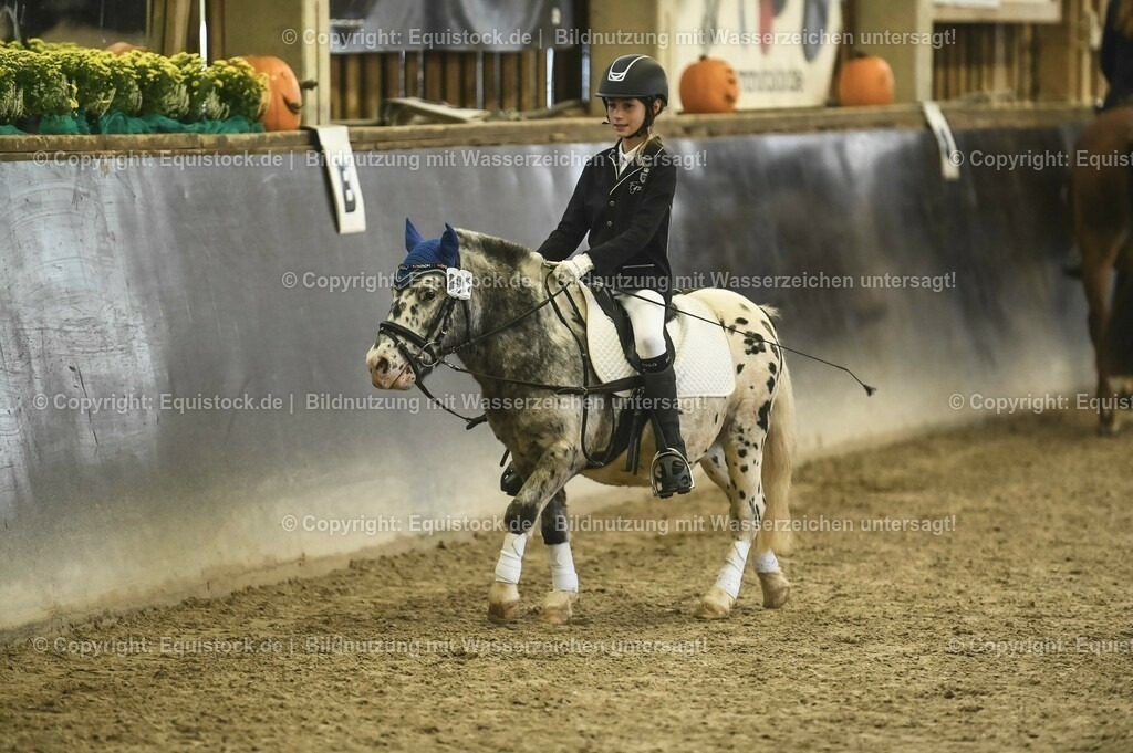 20231029_02_Reiter-WB_Schritt-Trab-Galopp_Abteilung-01_0062 | Foto: Thomas Hartig