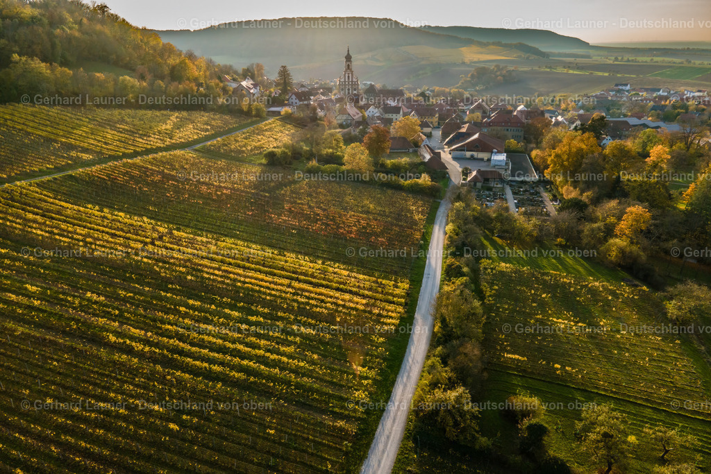 WEI0028 | Weinberg bei Castell