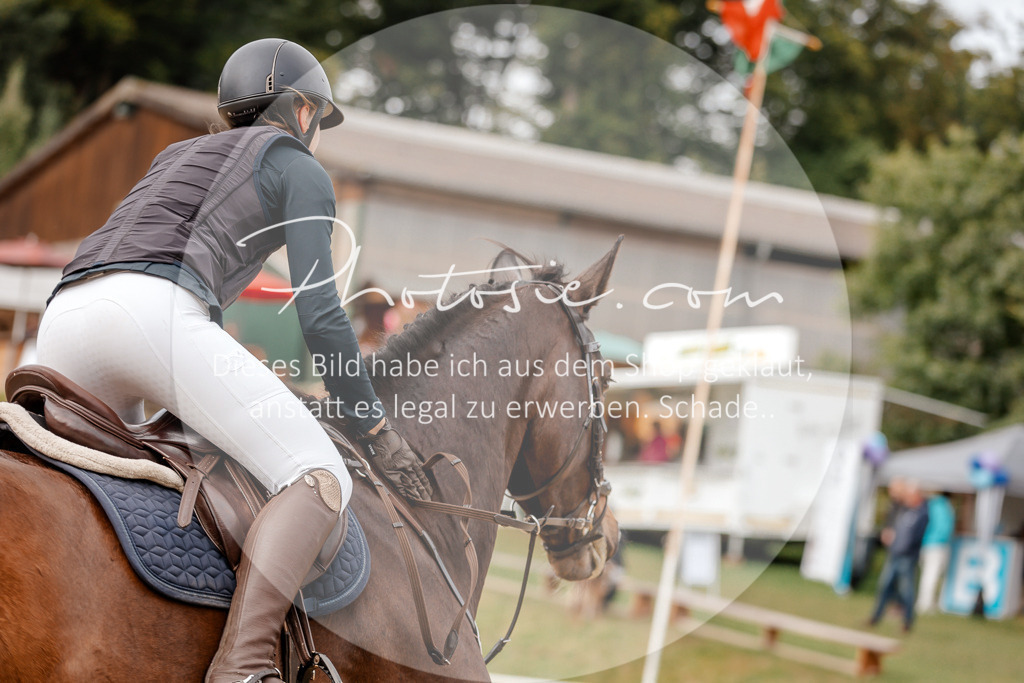 3I6A6488 | Stimmungsvolle Portraits und Reitsportfotografie im Ruhrgebiet und im Münsterland.

Pferdefotografie, Hundefotografie, Tierfotografie, Reportagen, Portraits von Tier und Mensch, Turnierfotografie in Bochum, Recklinghausen, Marl, Haltern am See, Dülmen.. - Realisiert mit Pictrs.com