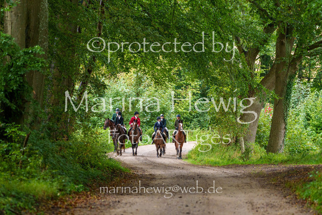 Jagd Perdoel 26 Sony-03870_MarinaHewig | Fotografie, FotoArt, PferdesportArt, Pferdesportfotografie, Landschaftsfotografie, Reisefotografie, Reise, Pferde - Realisiert mit Pictrs.com