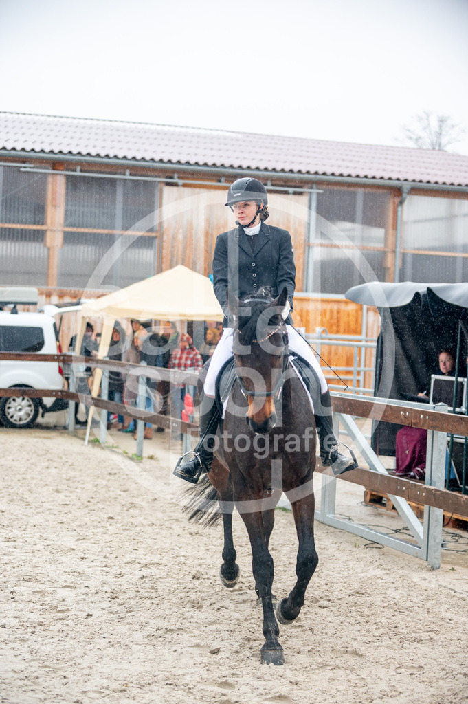 DSC_5277 | sattelsport - Realisiert mit Pictrs.com