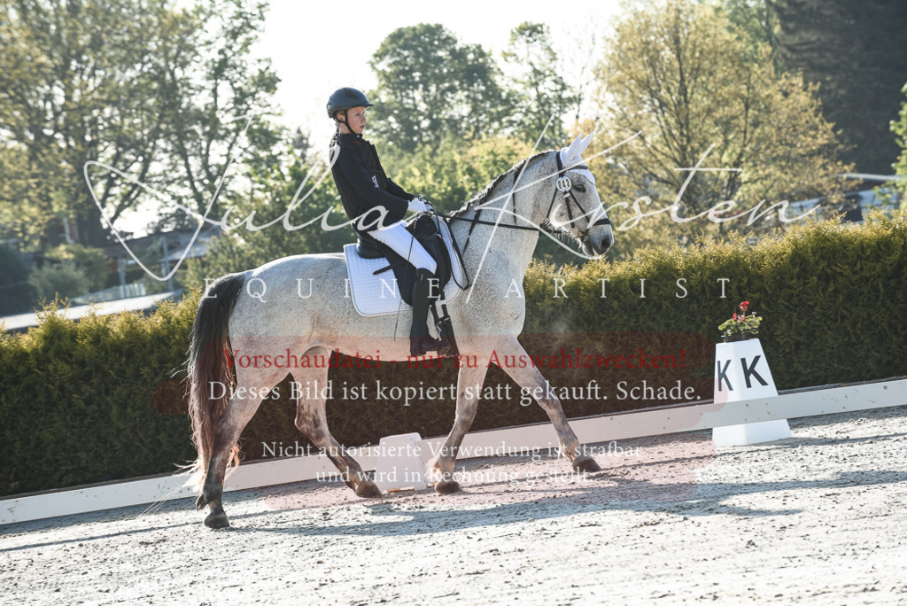 20230518_JK-Röhrsdorf-09-0191 | Pferde- und Turnierfotografie in Westsachsen. Pferdeportraits, Auftragszeichnungen und intuitive Kunst.