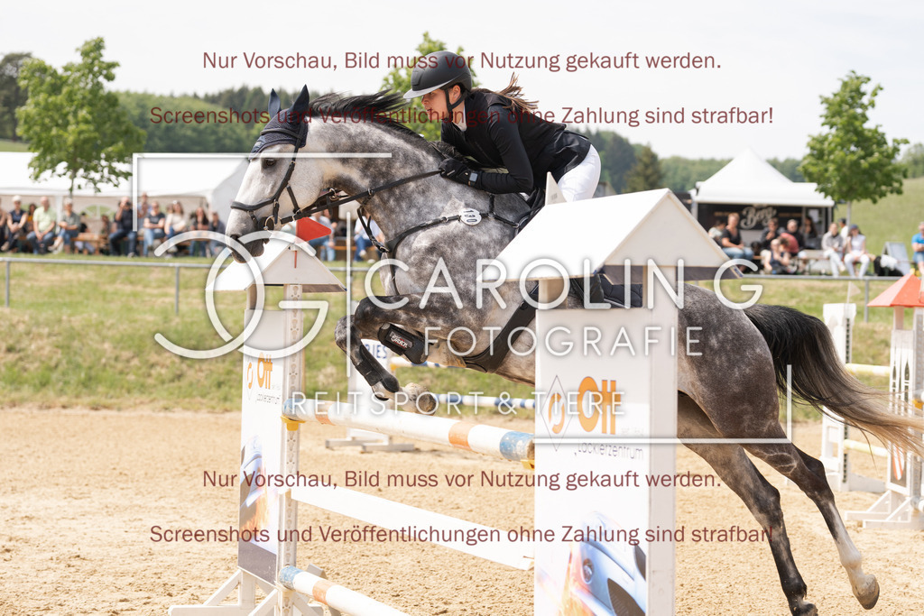 DSC06632 | Springturnier_Ehingen_Mai_2026, Anika_Ramminger, Hakuna_Matata_32