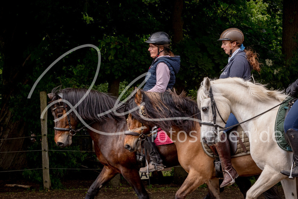 846A1006 | fotosleben - Realized with Pictrs.com