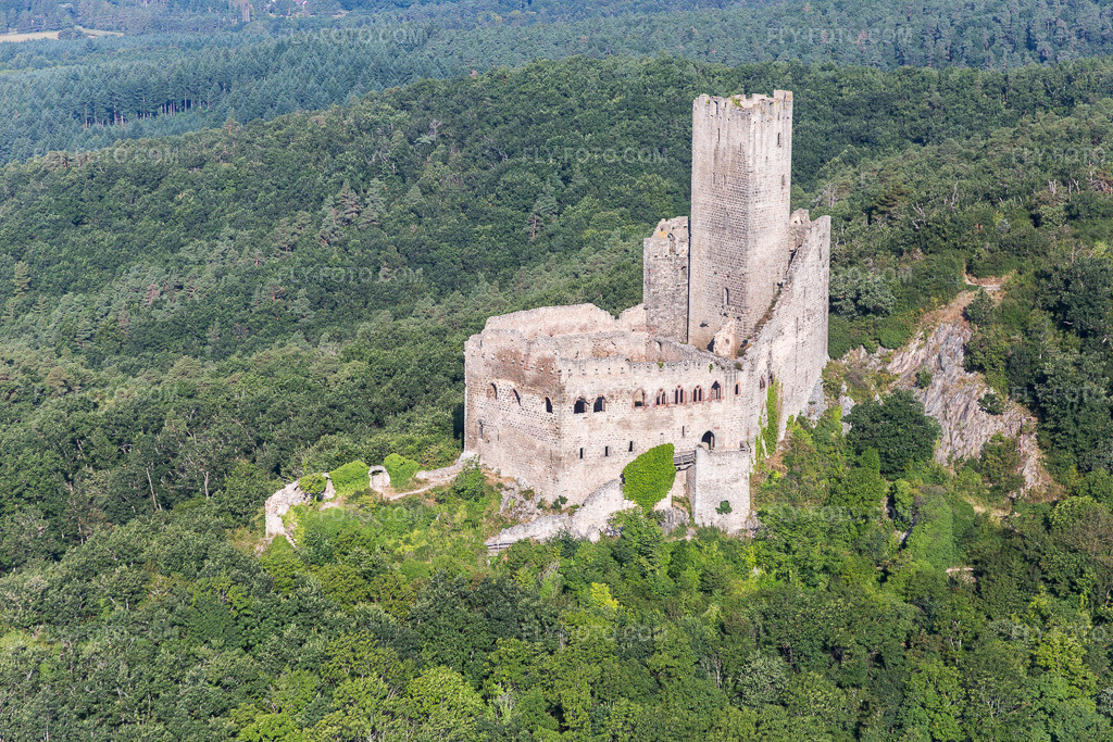 Aerial view: Ruins and remains of the walls of the former Ramstein Castle and Fortress in Scherwiller in the state Bas-Rhin, France. – Photo: IMG_093279.jpg taken on 08/16/2016 by Werner Riehm/FLY-FOTO.com – Resolution of the original: 5472 x 3648 px