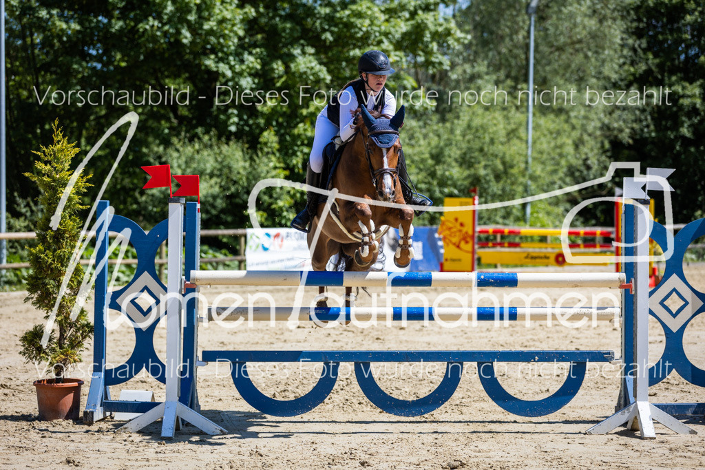 Donop24-Stil-L-086 | MomenTaufnahmen Pferdesportfotos