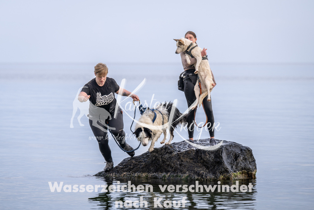 1210_ZZ90027 | kk-dogfotos