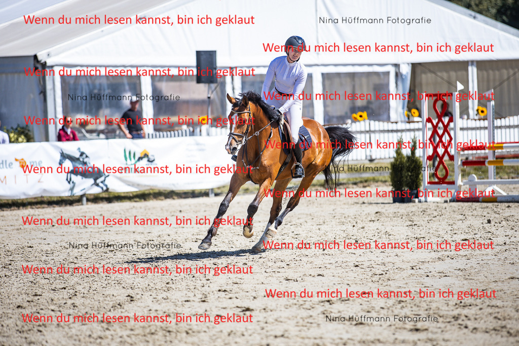 BK1A5282 | Turnierbilder Turnierfotos Nina Hüffmann Turnierfotografie Pferdefotografie Tierzeichnung Haustierzeichnung Pferdezeichnung Hundezeichnung Videograf  - Realisiert mit Pictrs.com
