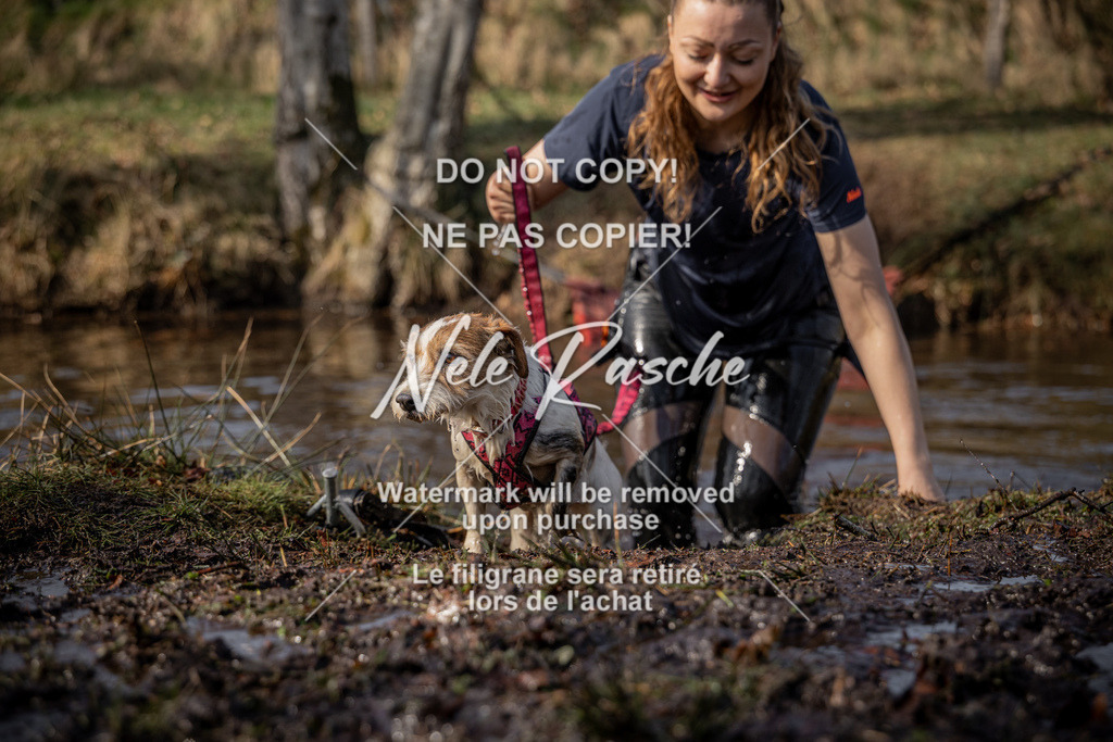 nelerasche_FS1330-1400_254 | nelerasche