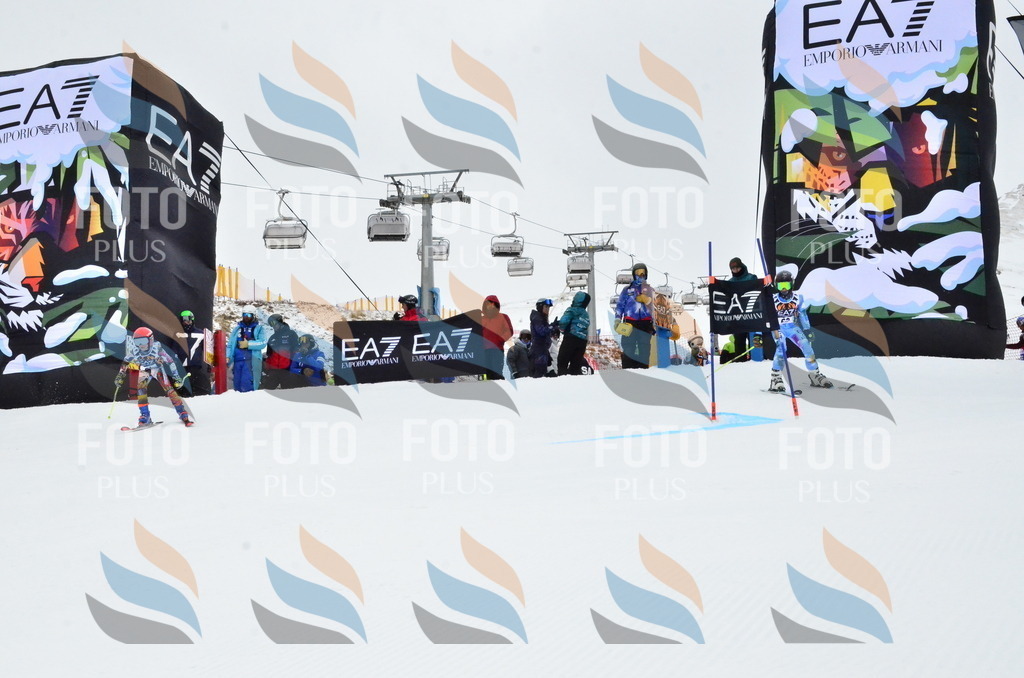 _ELE3437 | holidayphoto